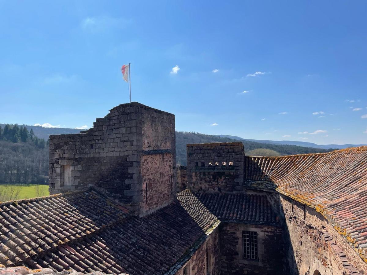 Chateau De Latour Sur Sorgue Marnhagues-et-Latour Dış mekan fotoğraf