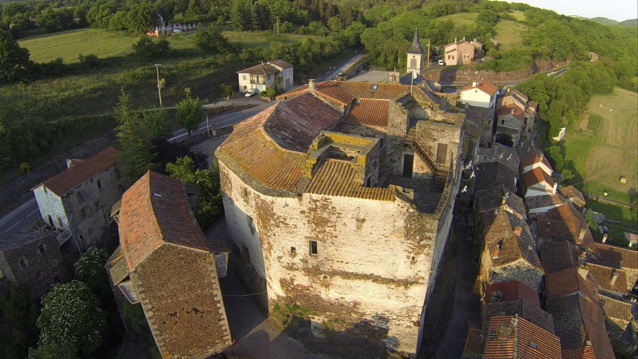 Chateau De Latour Sur Sorgue Marnhagues-et-Latour Dış mekan fotoğraf